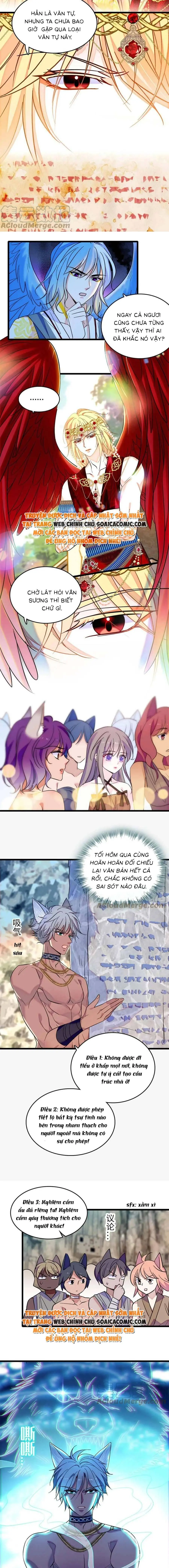 Ninita Yêu Dấu - Phần 2 Chapter 723.1 - Trang 5