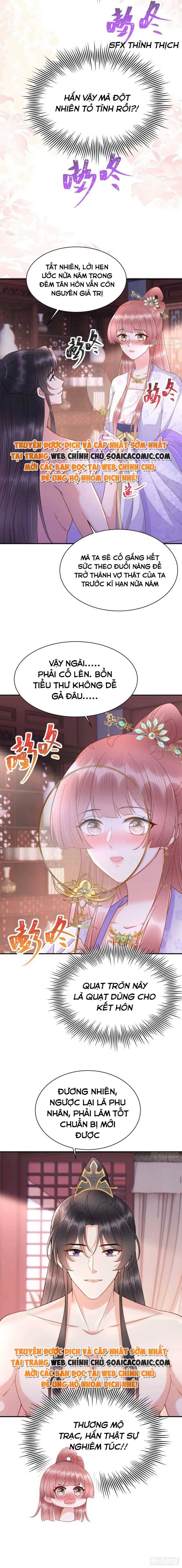 Ninita Yêu Dấu - Phần 2 Chapter 731.8 - Trang 4