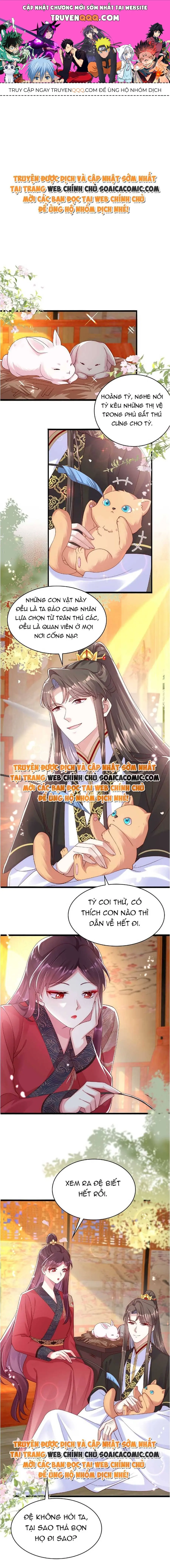 Ninita Yêu Dấu - Phần 2 Chapter 743.4 - Trang 2