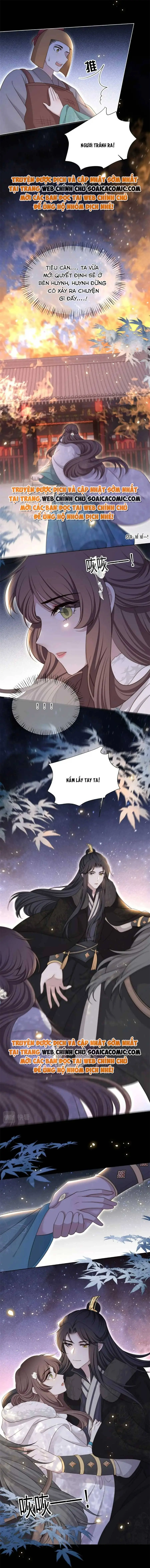 Ninita Yêu Dấu - Phần 2 Chapter 752.3 - Trang 4
