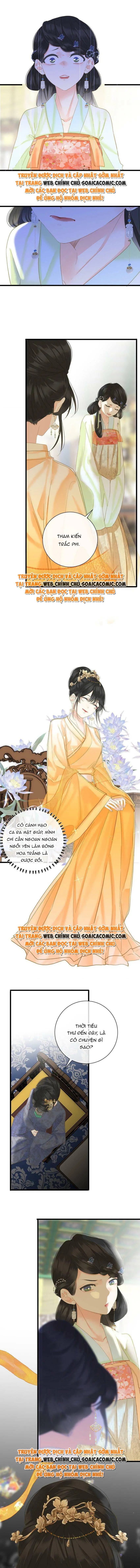 Ninita Yêu Dấu - Phần 2 Chapter 926.5 - Trang 5