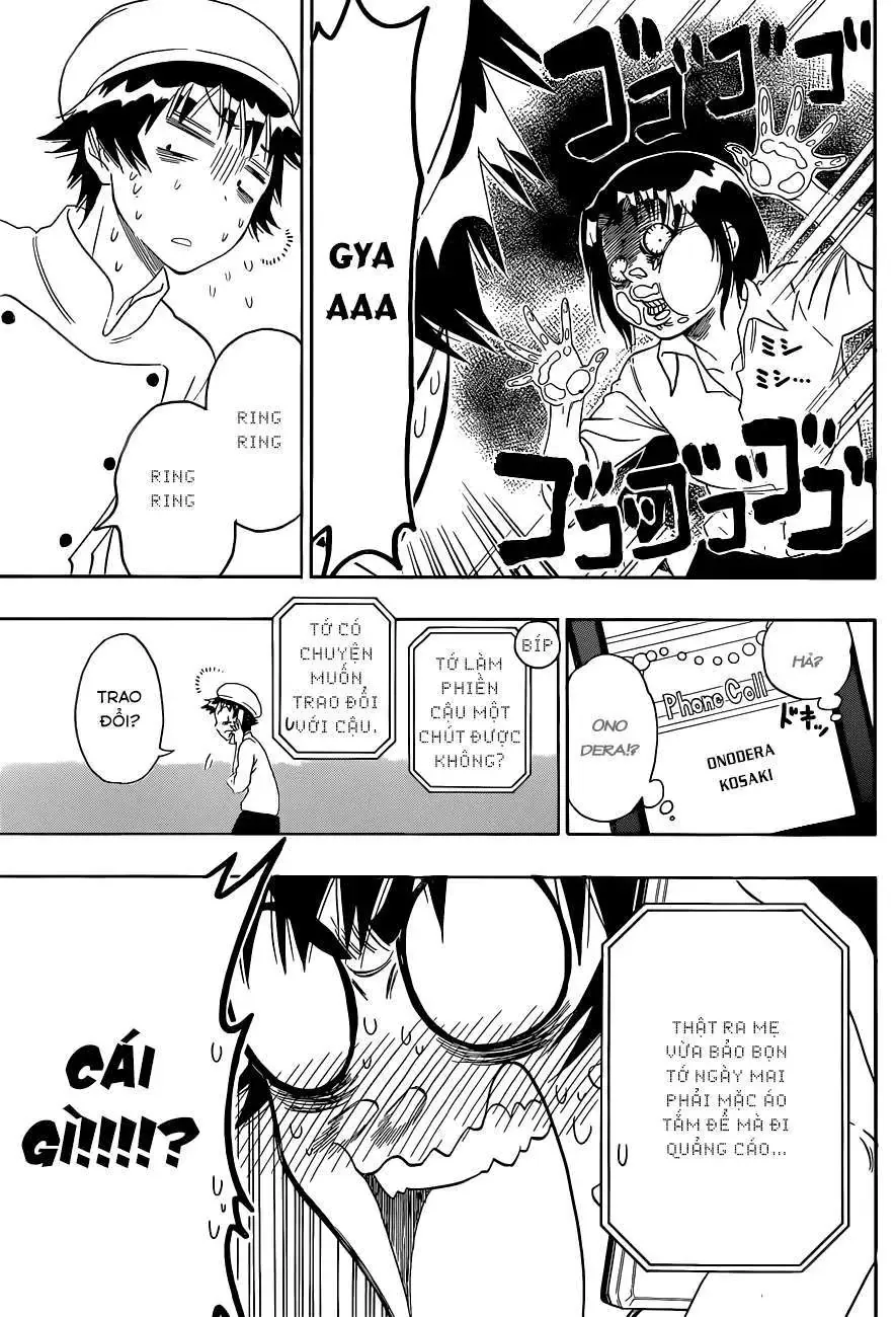 Nisekoi Chapter 101 - Trang 17