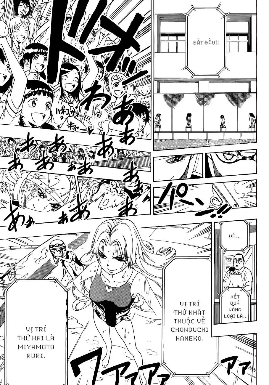 Nisekoi Chapter 102 - Trang 11