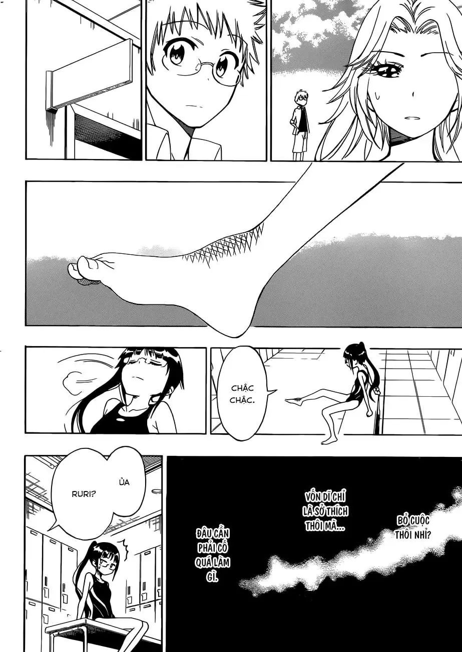 Nisekoi Chapter 102 - Trang 14