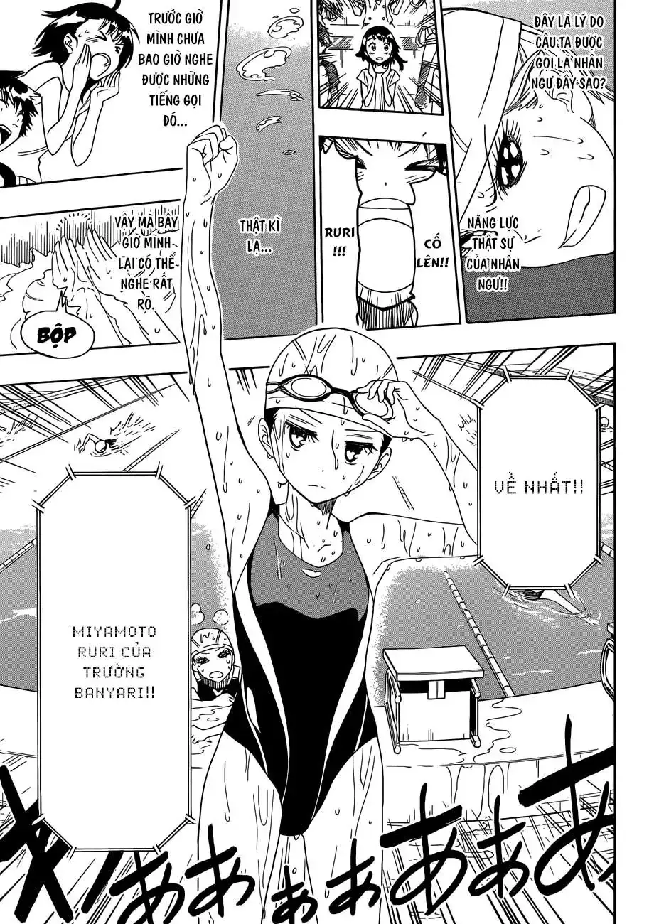 Nisekoi Chapter 102 - Trang 19
