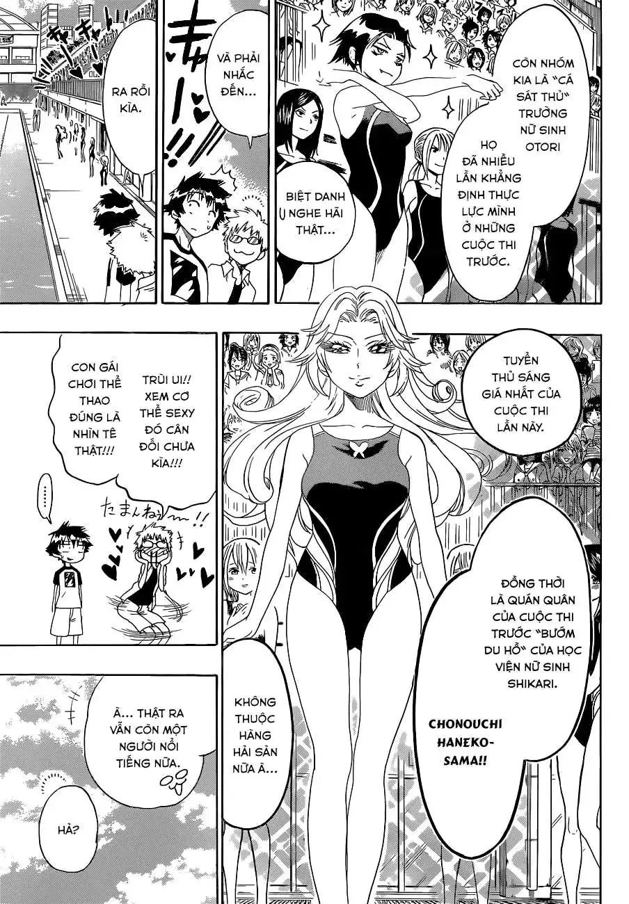 Nisekoi Chapter 102 - Trang 7