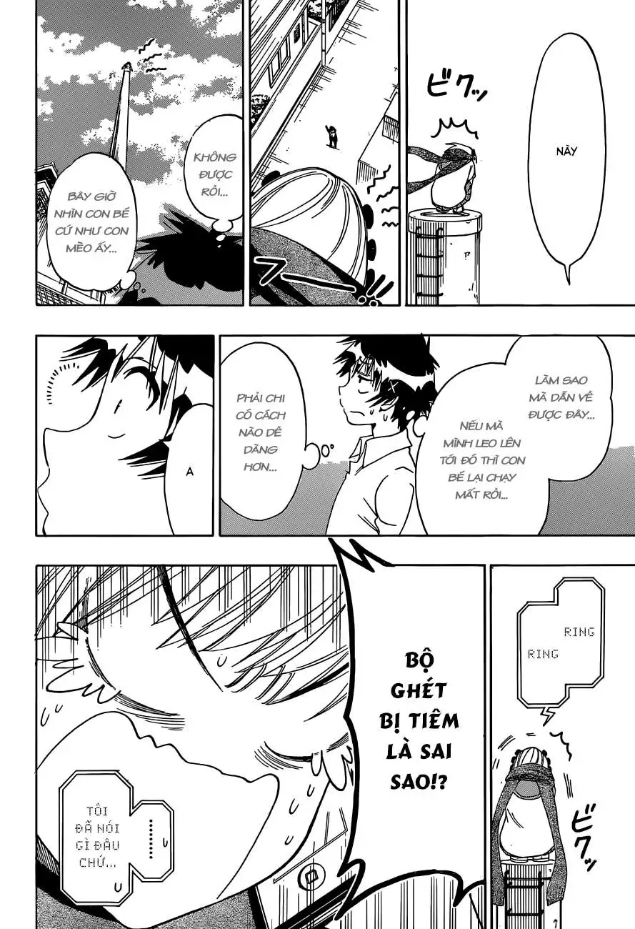 Nisekoi Chapter 103 - Trang 16