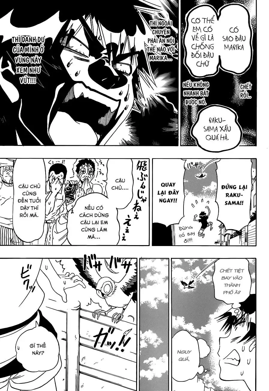 Nisekoi Chapter 104 - Trang 11