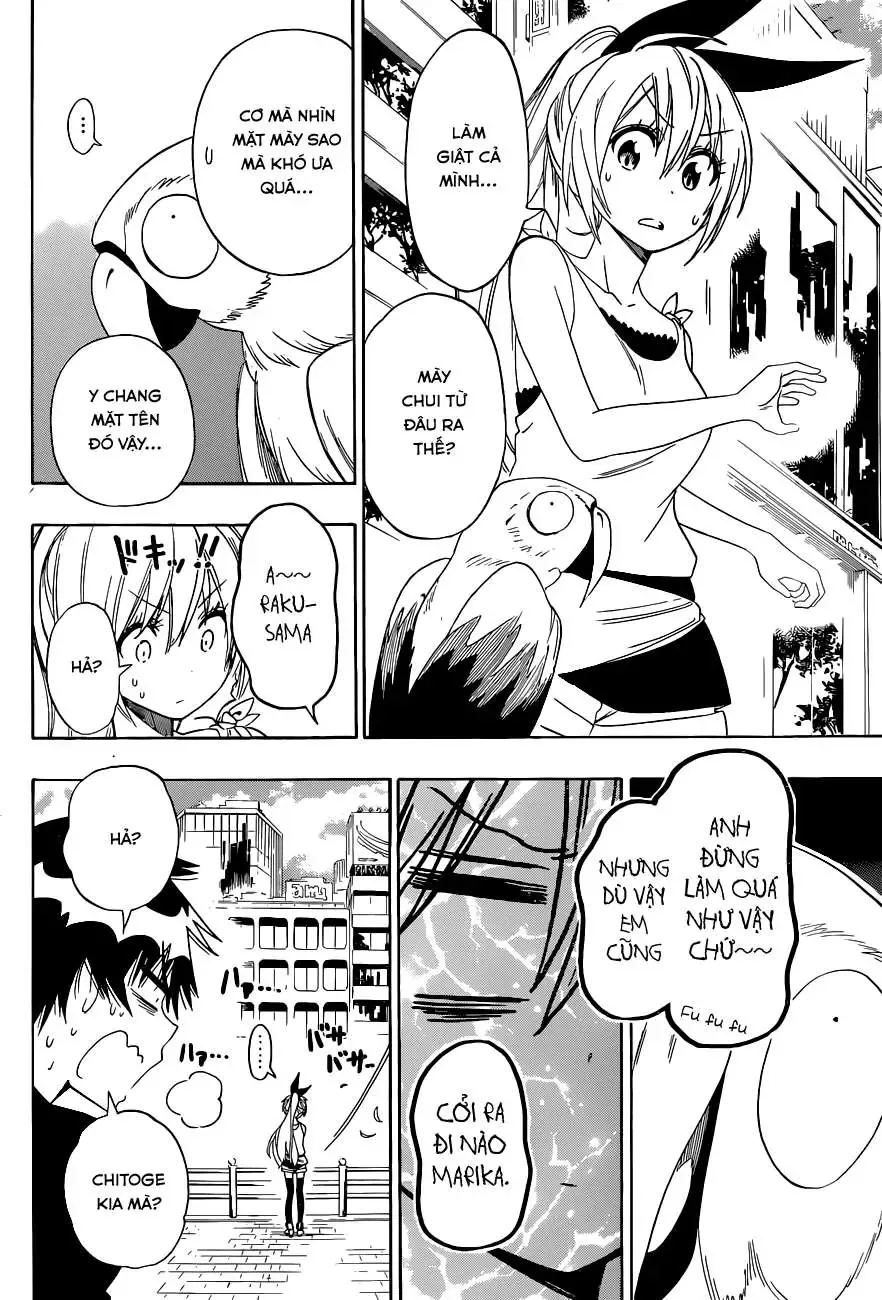 Nisekoi Chapter 104 - Trang 12
