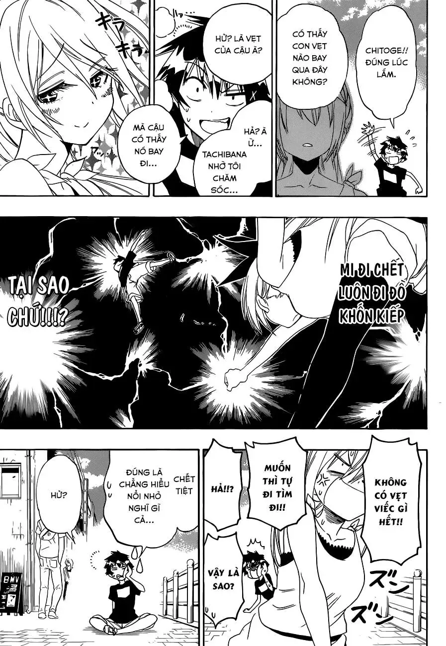 Nisekoi Chapter 104 - Trang 13