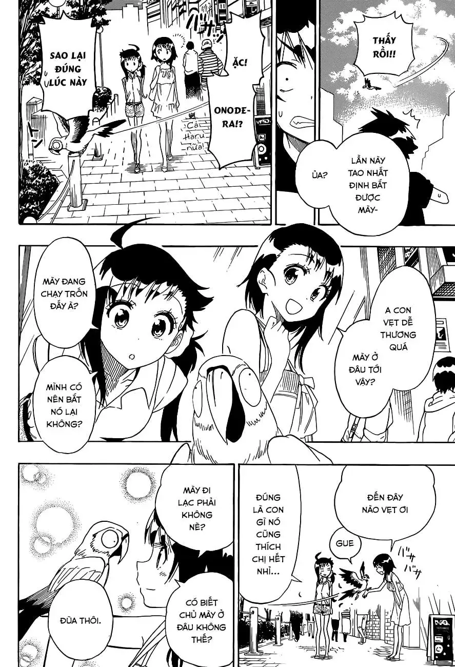 Nisekoi Chapter 104 - Trang 14