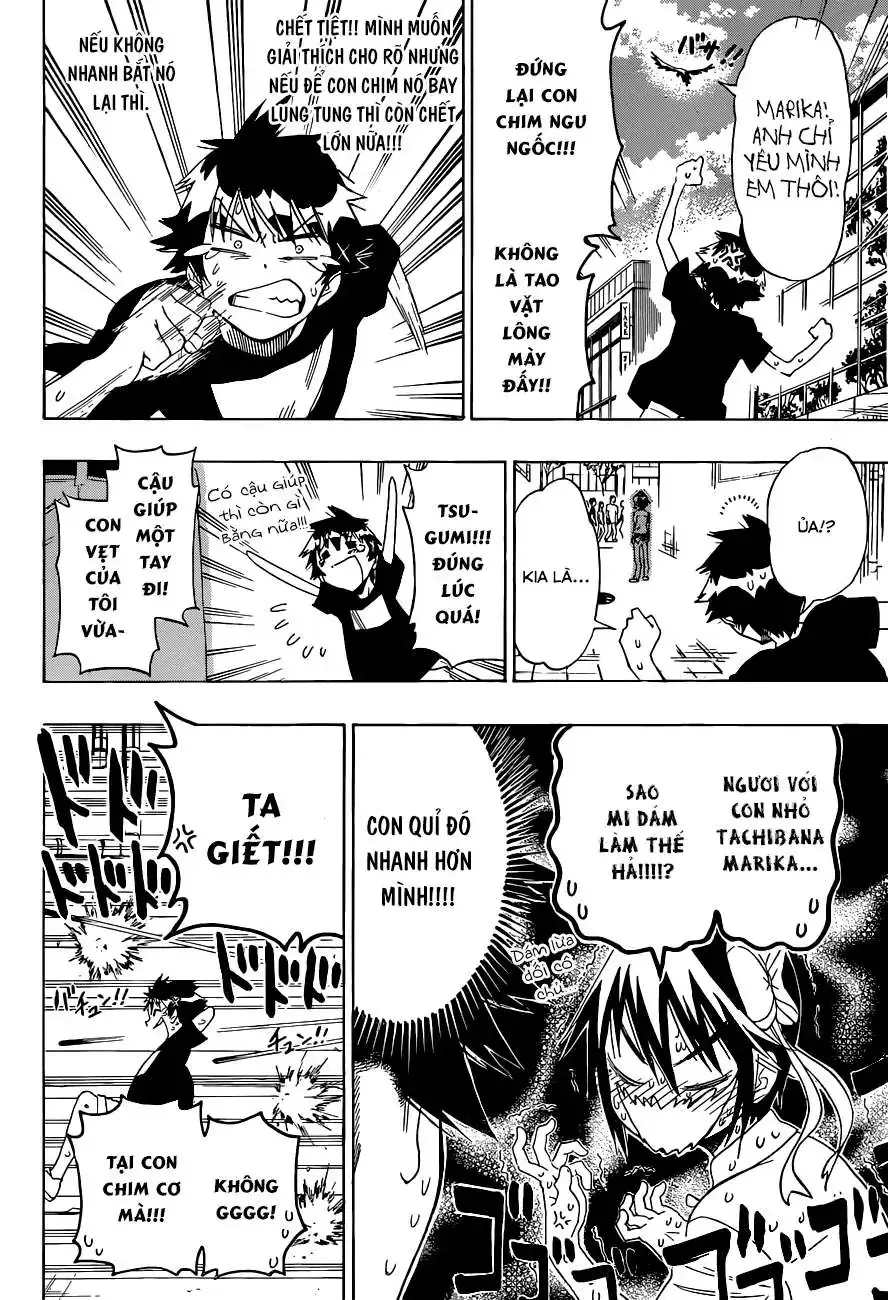 Nisekoi Chapter 104 - Trang 16