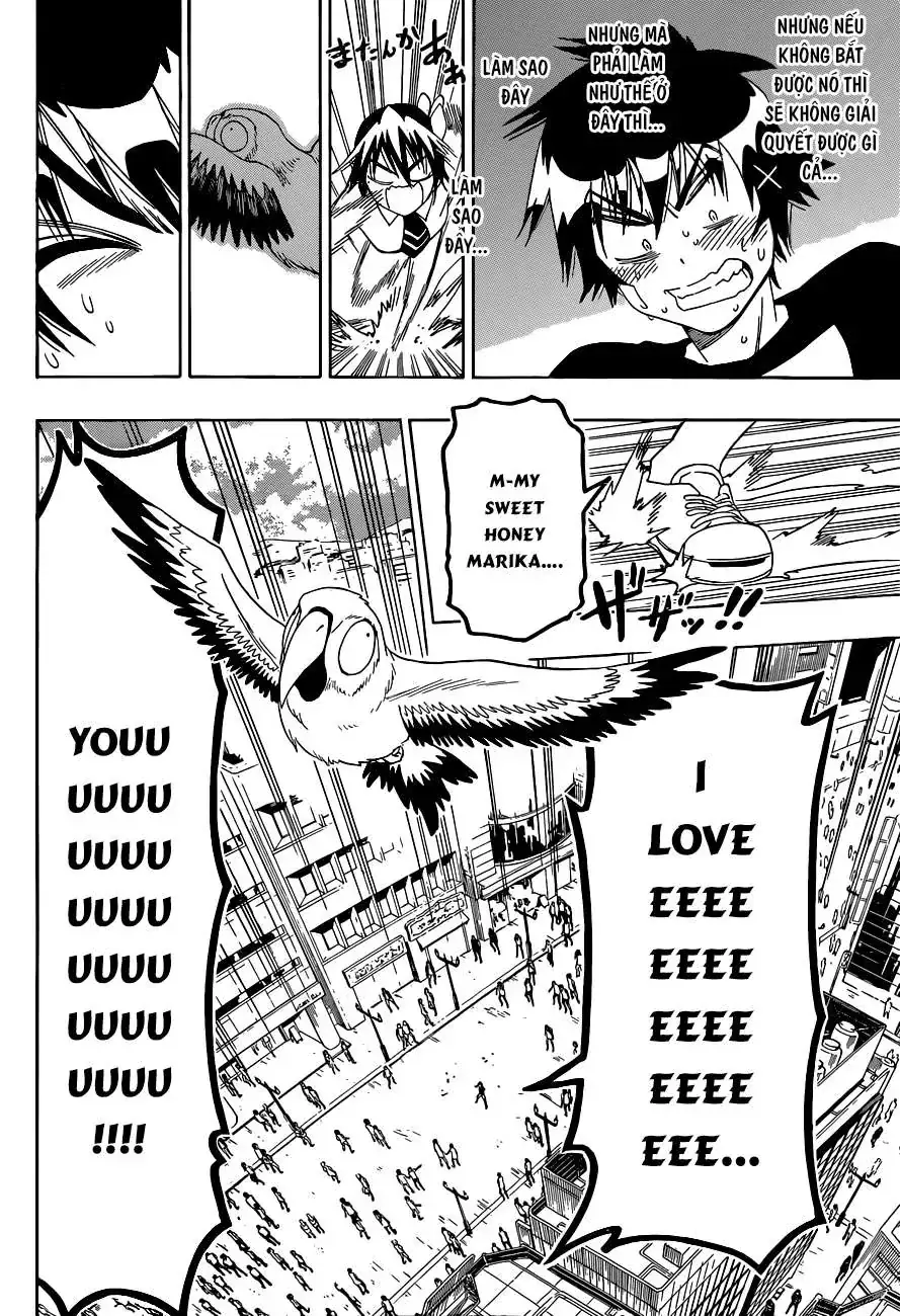 Nisekoi Chapter 104 - Trang 18