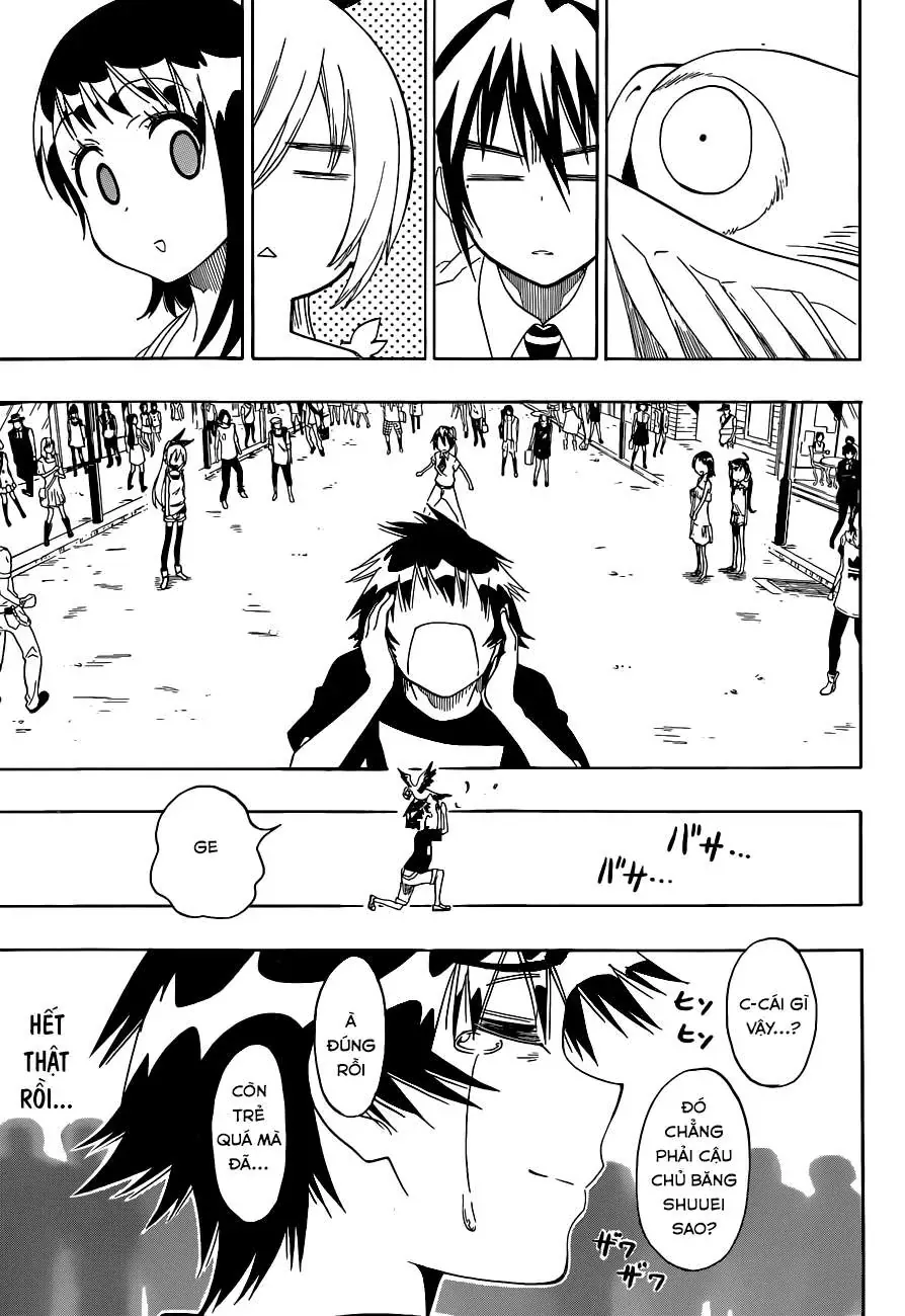 Nisekoi Chapter 104 - Trang 19