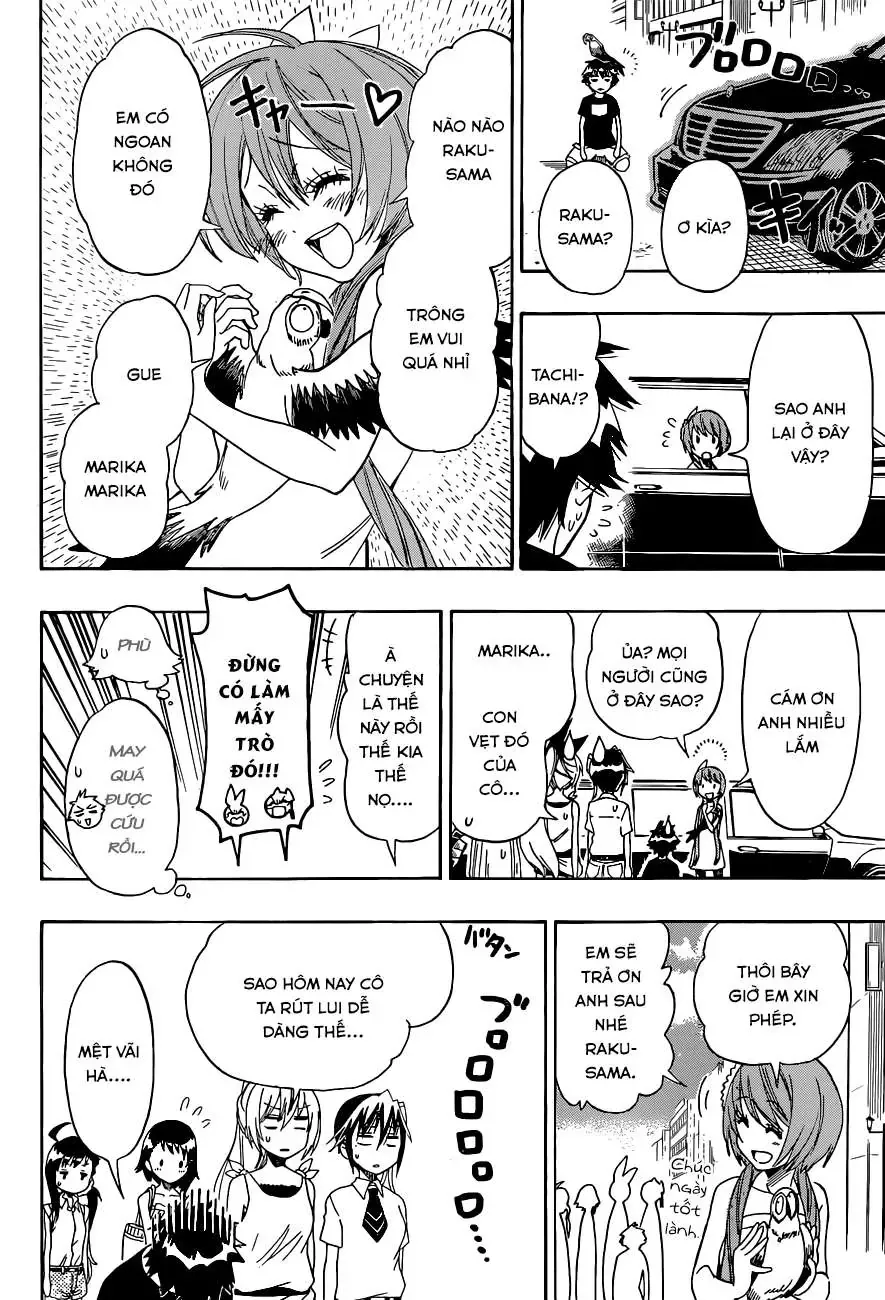 Nisekoi Chapter 104 - Trang 20