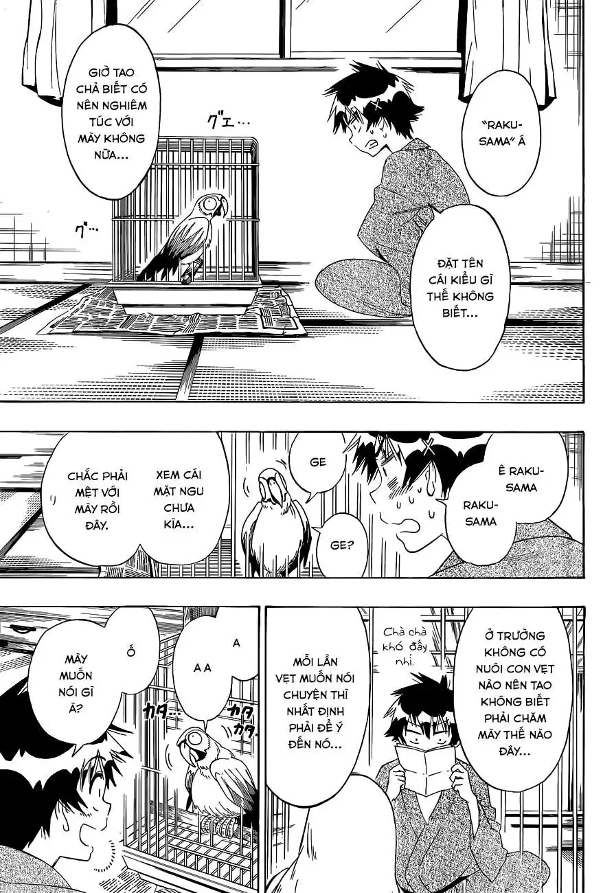Nisekoi Chapter 104 - Trang 5