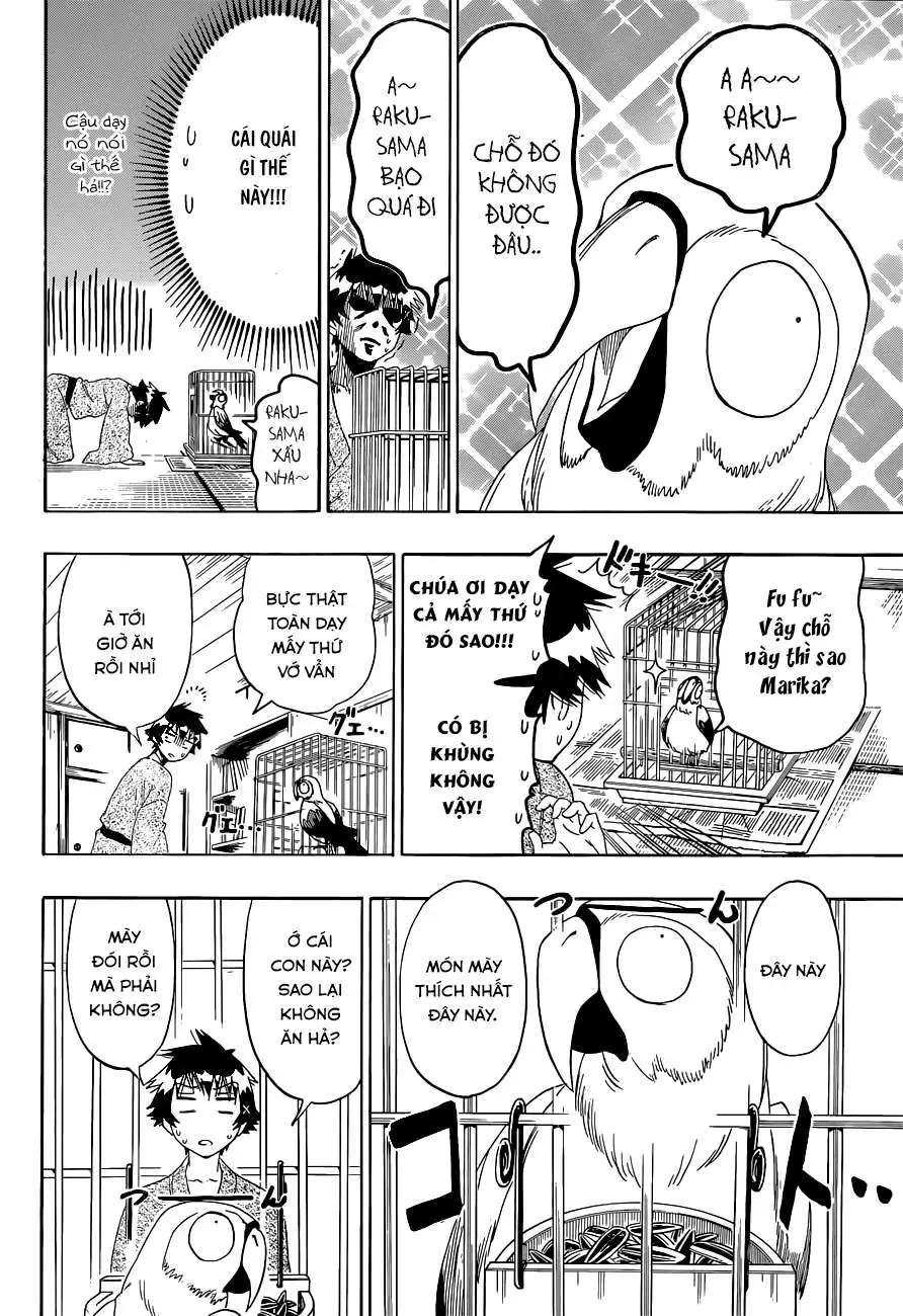 Nisekoi Chapter 104 - Trang 6