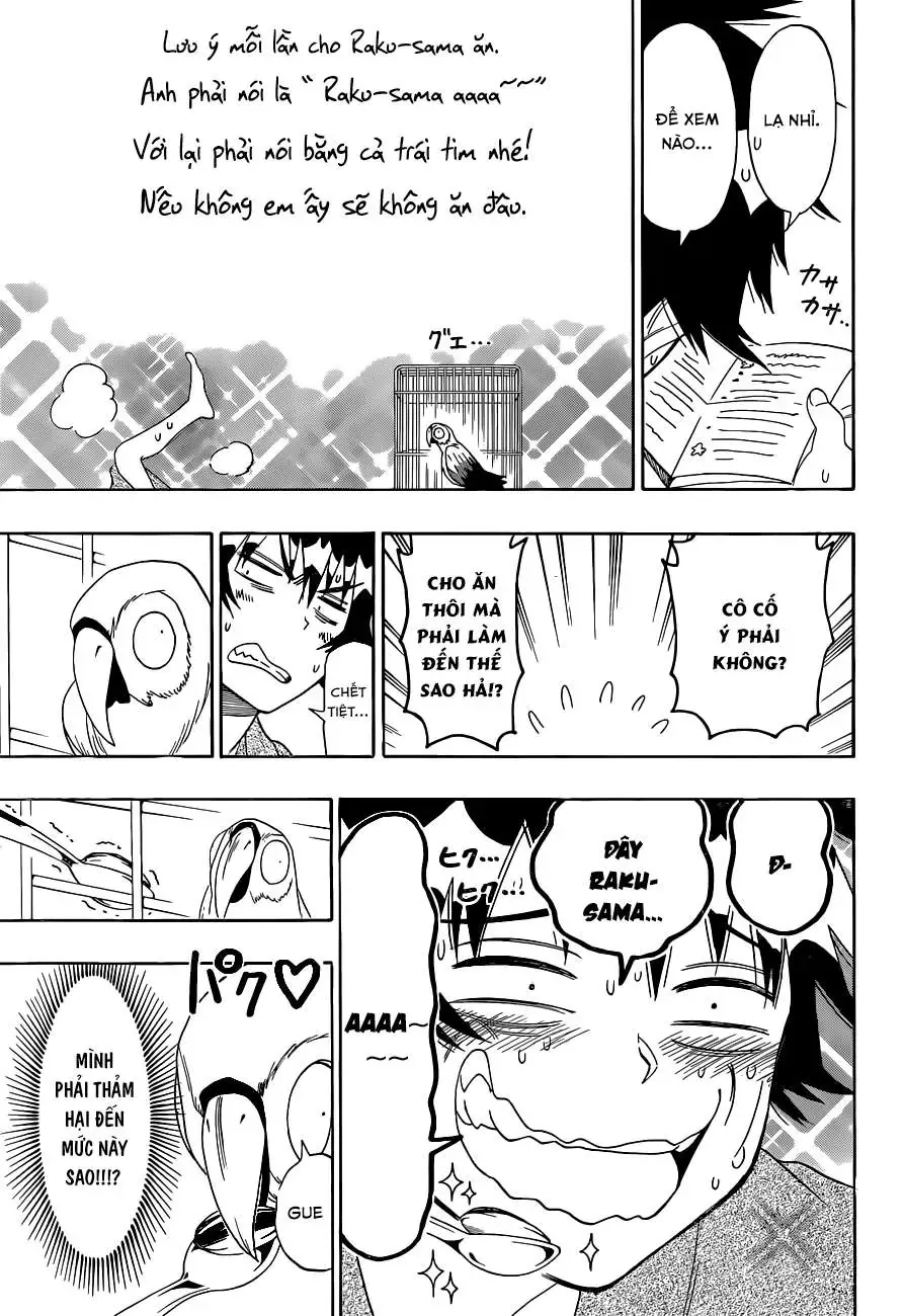 Nisekoi Chapter 104 - Trang 7