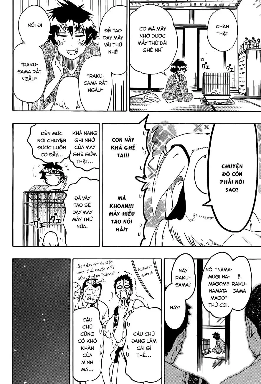 Nisekoi Chapter 104 - Trang 8