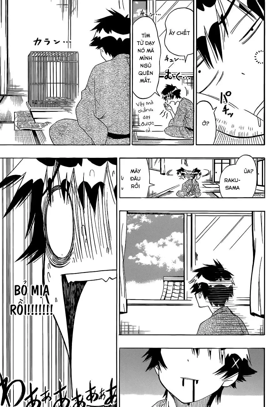 Nisekoi Chapter 104 - Trang 9