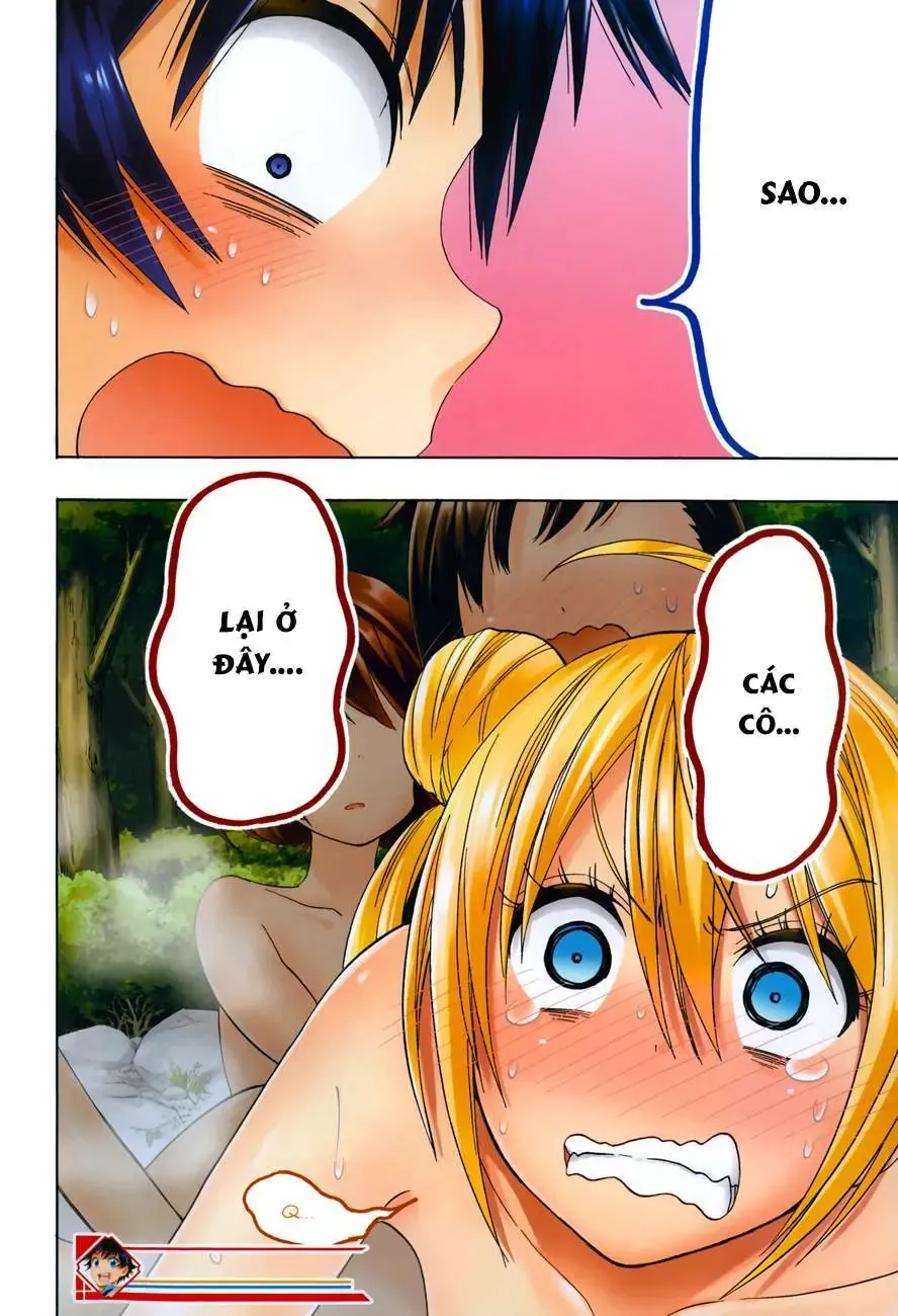Nisekoi Chapter 105.5 - Trang 17
