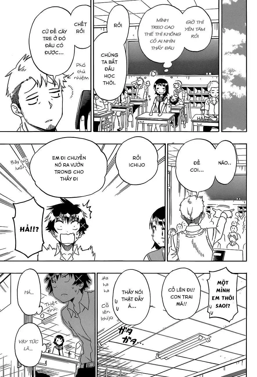 Nisekoi Chapter 105 - Trang 11
