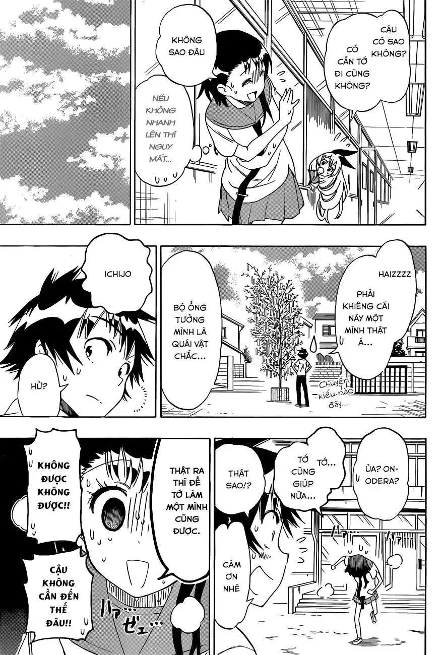 Nisekoi Chapter 105 - Trang 13
