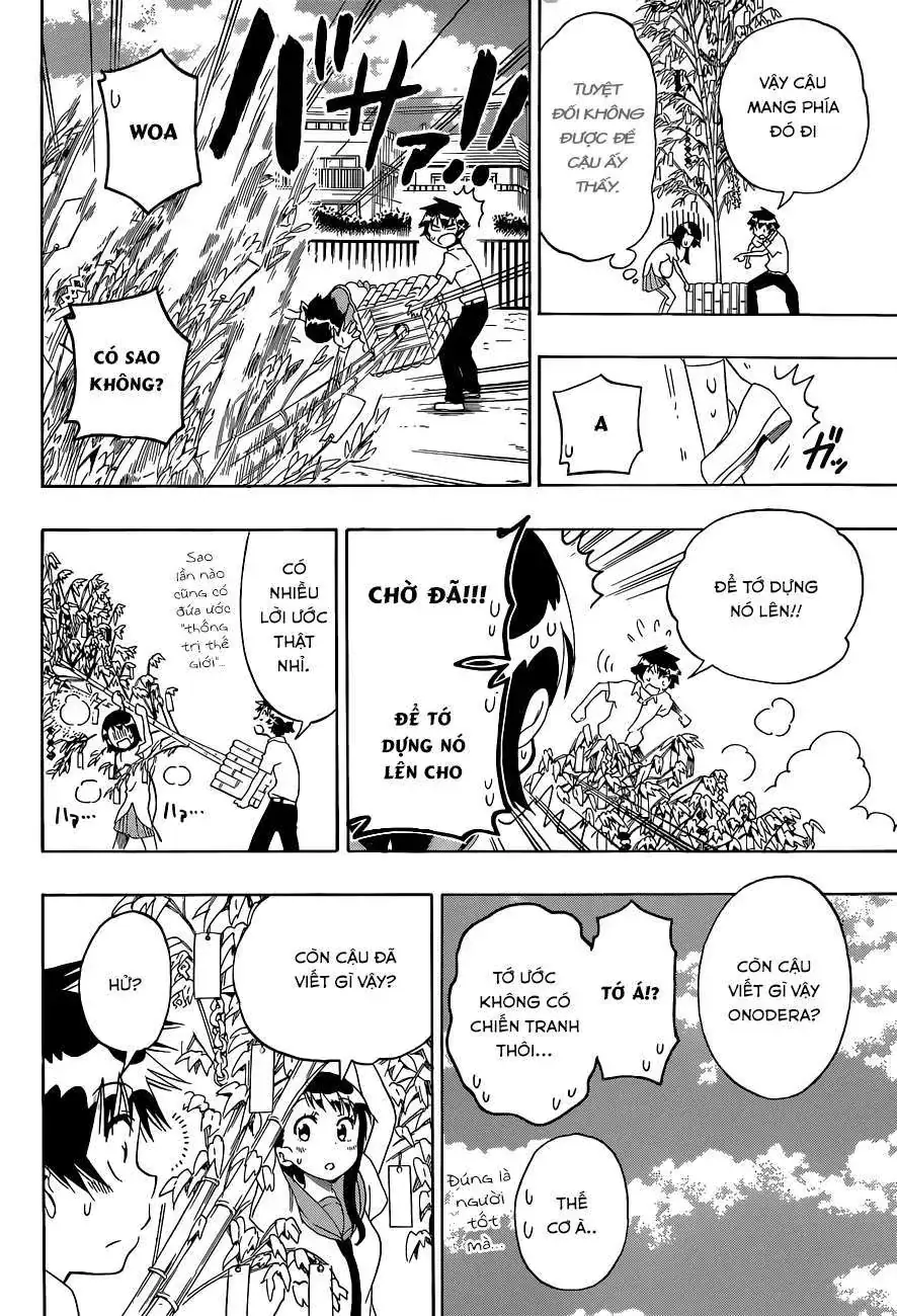 Nisekoi Chapter 105 - Trang 14