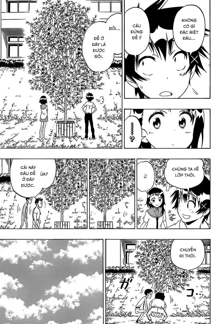 Nisekoi Chapter 105 - Trang 15