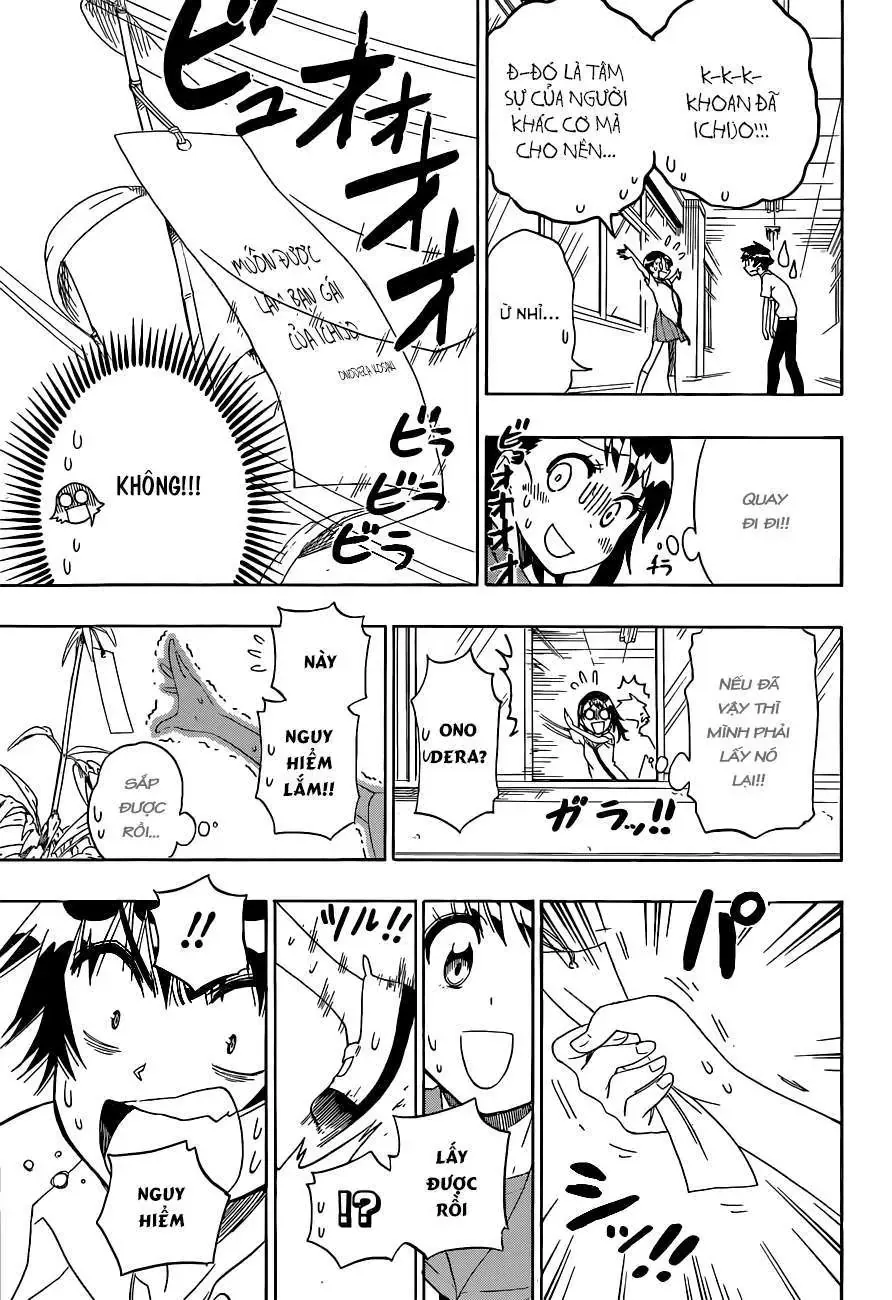 Nisekoi Chapter 105 - Trang 17