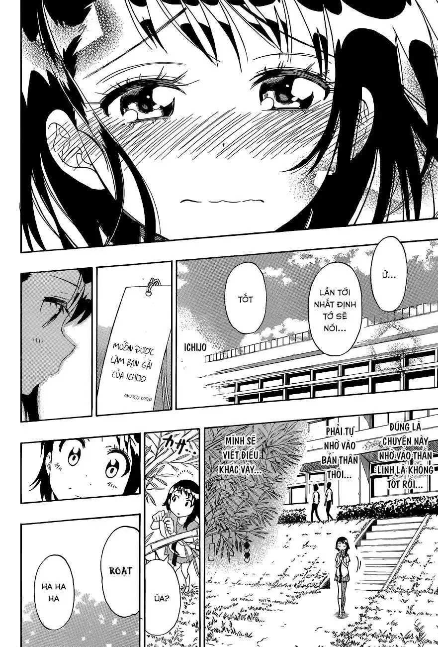 Nisekoi Chapter 105 - Trang 20