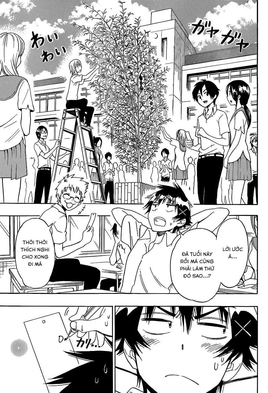 Nisekoi Chapter 105 - Trang 5
