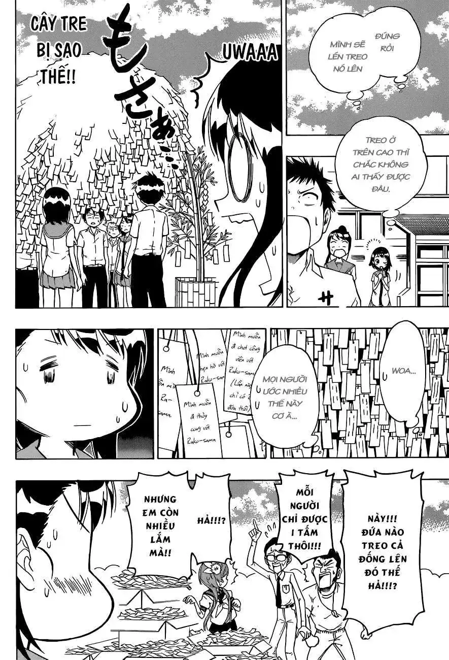 Nisekoi Chapter 105 - Trang 8
