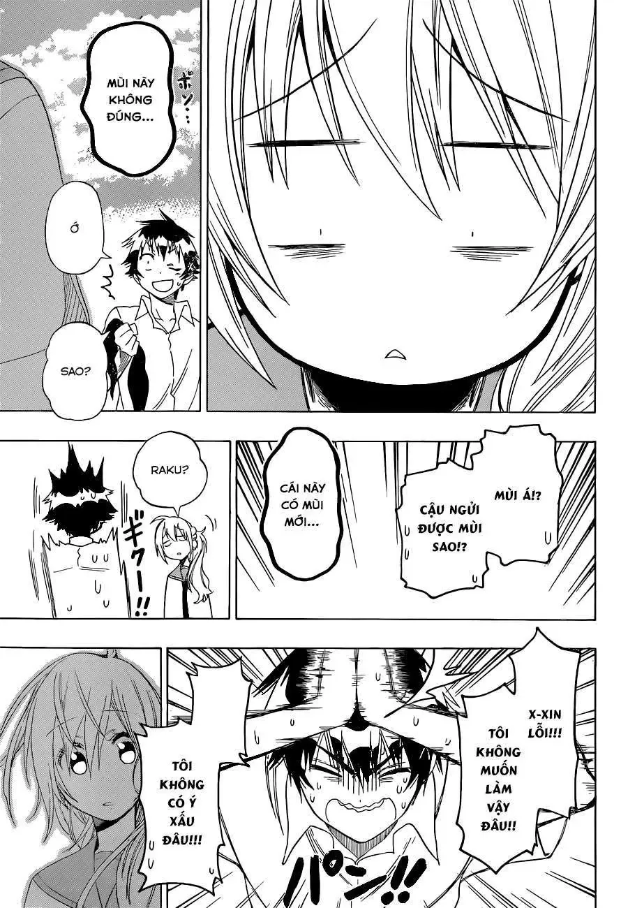 Nisekoi Chapter 106 - Trang 13