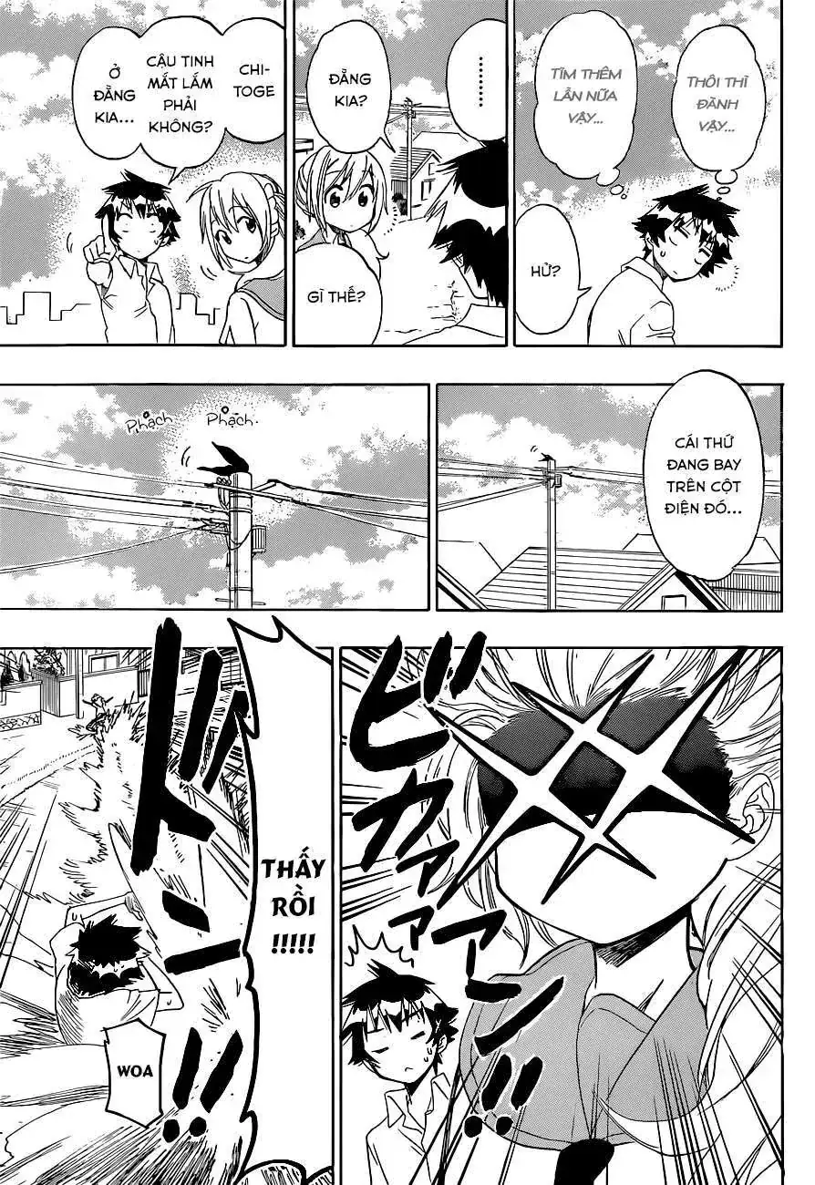 Nisekoi Chapter 106 - Trang 15
