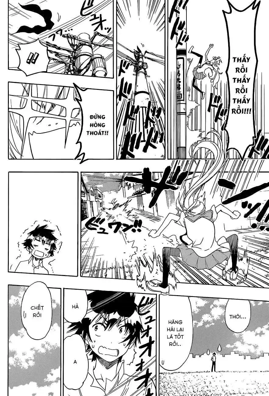 Nisekoi Chapter 106 - Trang 16