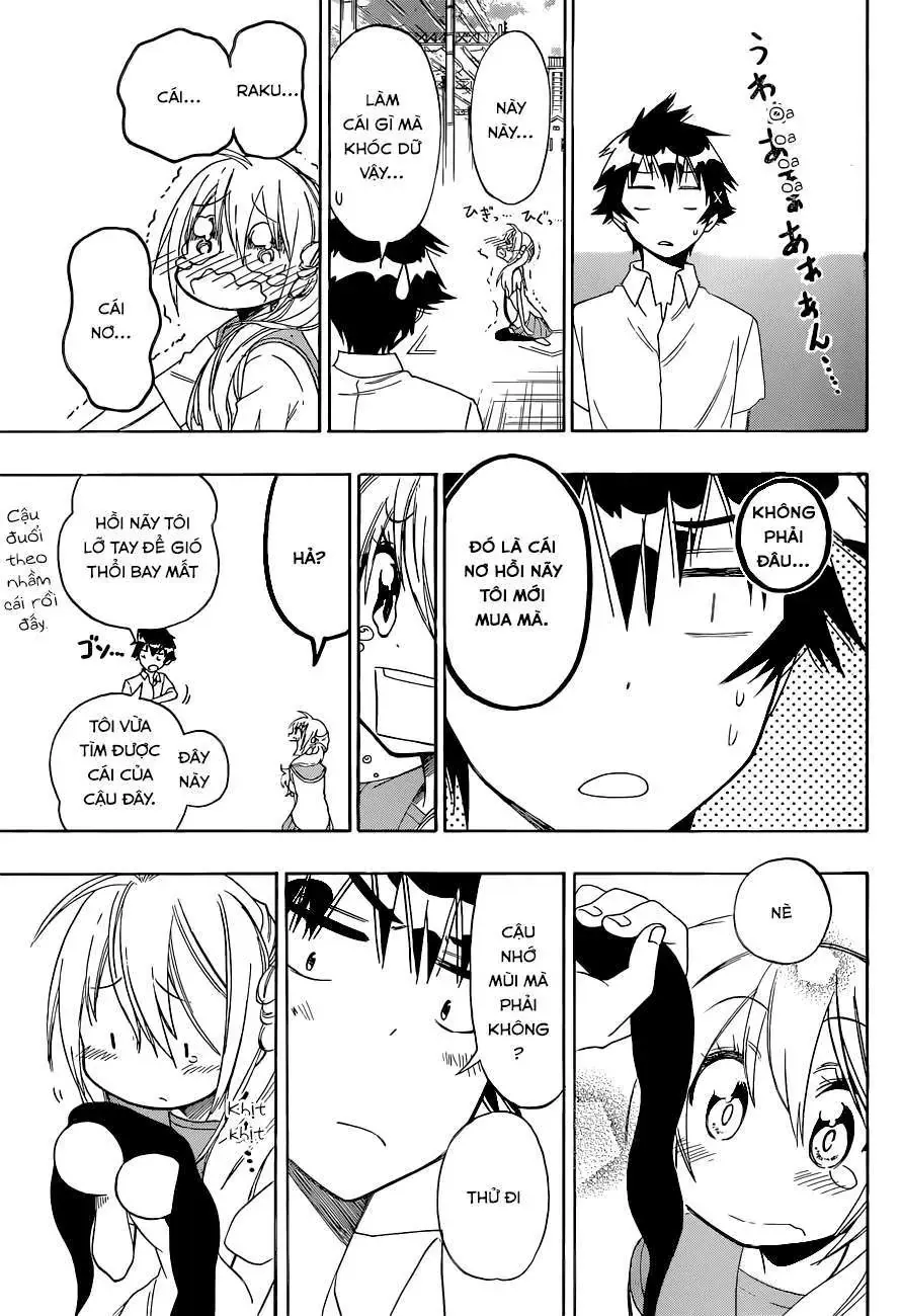 Nisekoi Chapter 106 - Trang 19