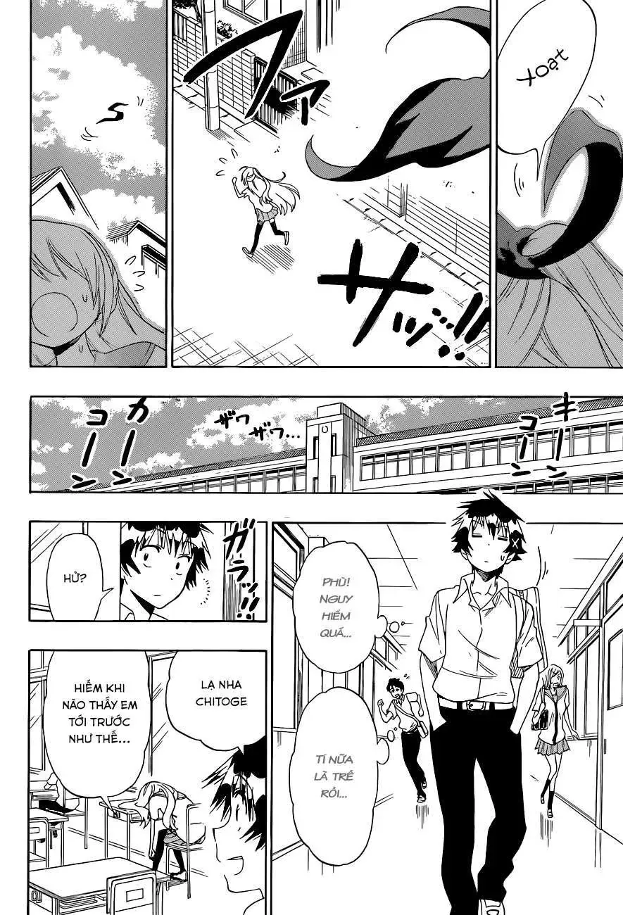 Nisekoi Chapter 106 - Trang 4
