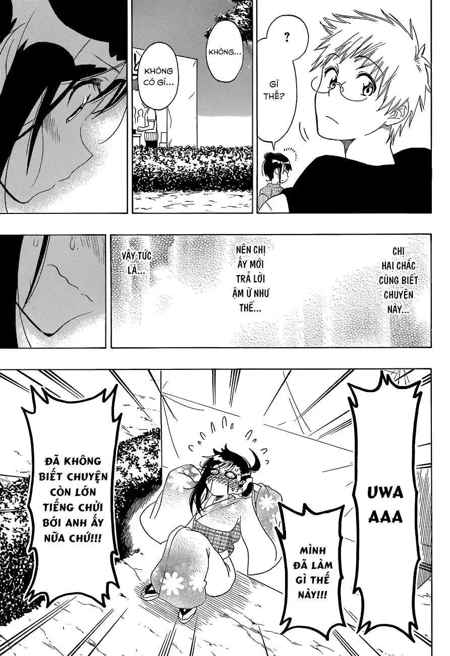 Nisekoi Chapter 108 - Trang 5