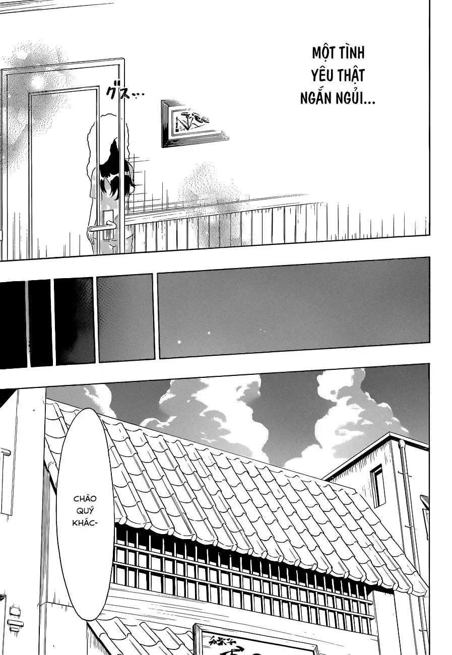 Nisekoi Chapter 109 - Trang 22