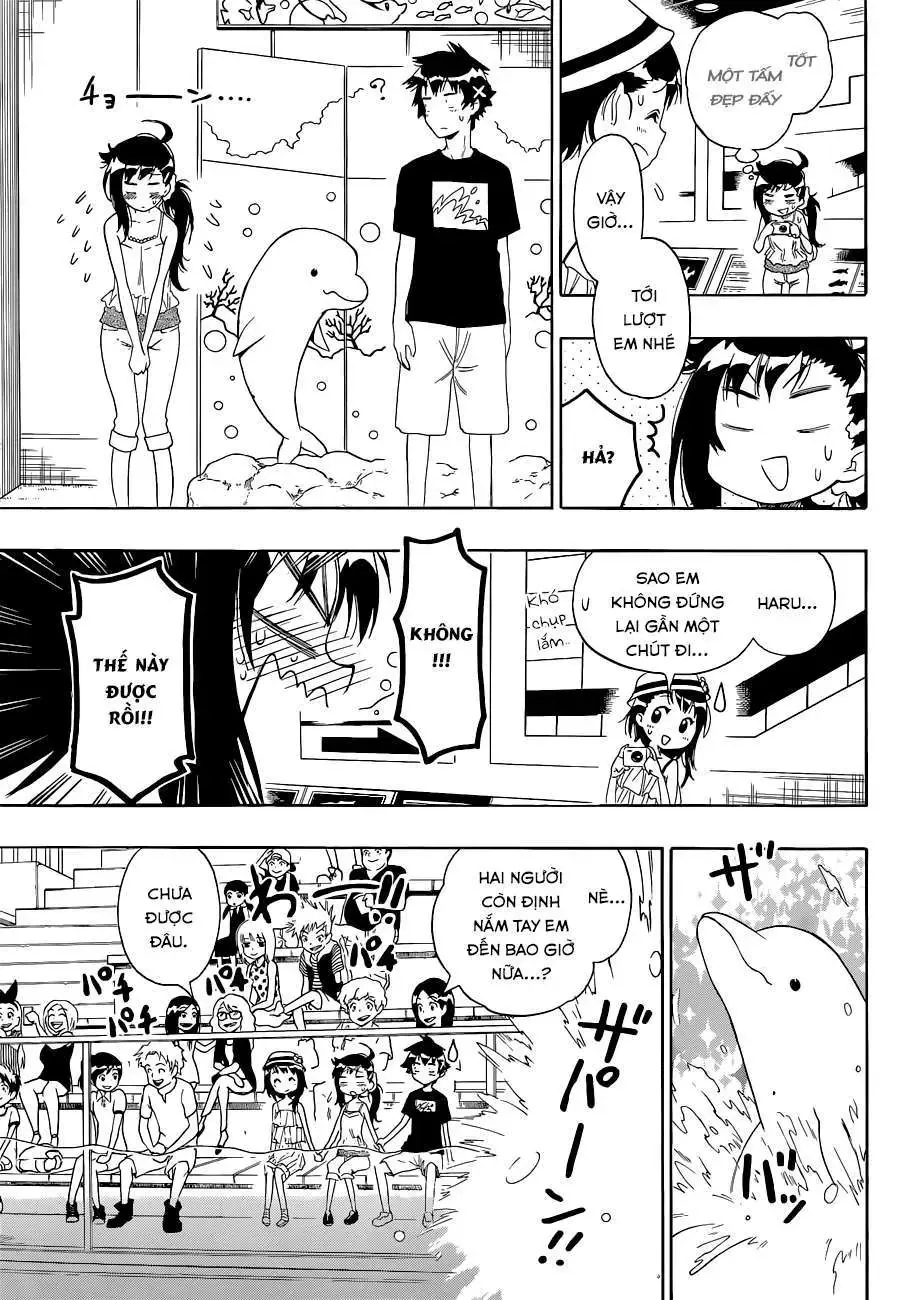 Nisekoi Chapter 110 - Trang 11