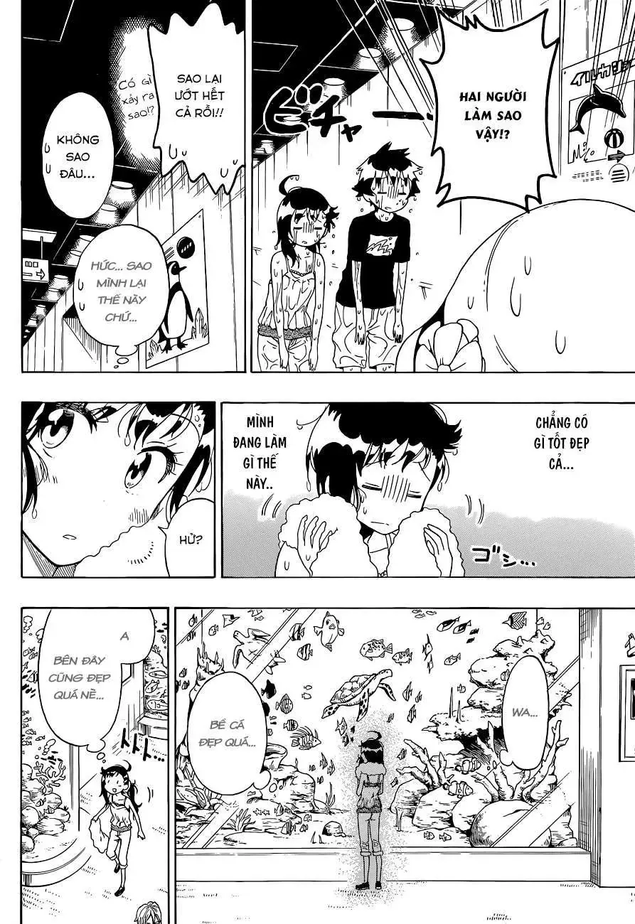 Nisekoi Chapter 110 - Trang 14