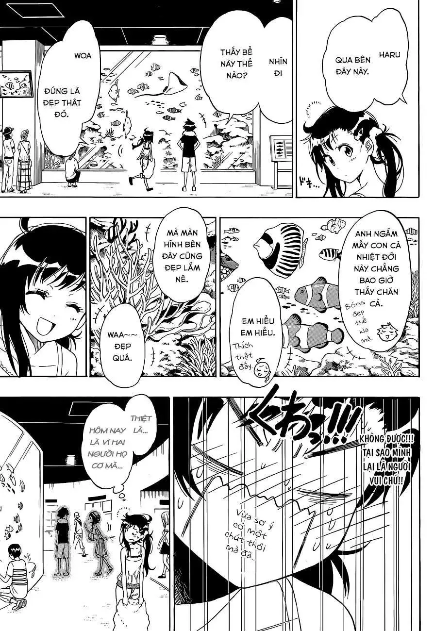 Nisekoi Chapter 110 - Trang 15