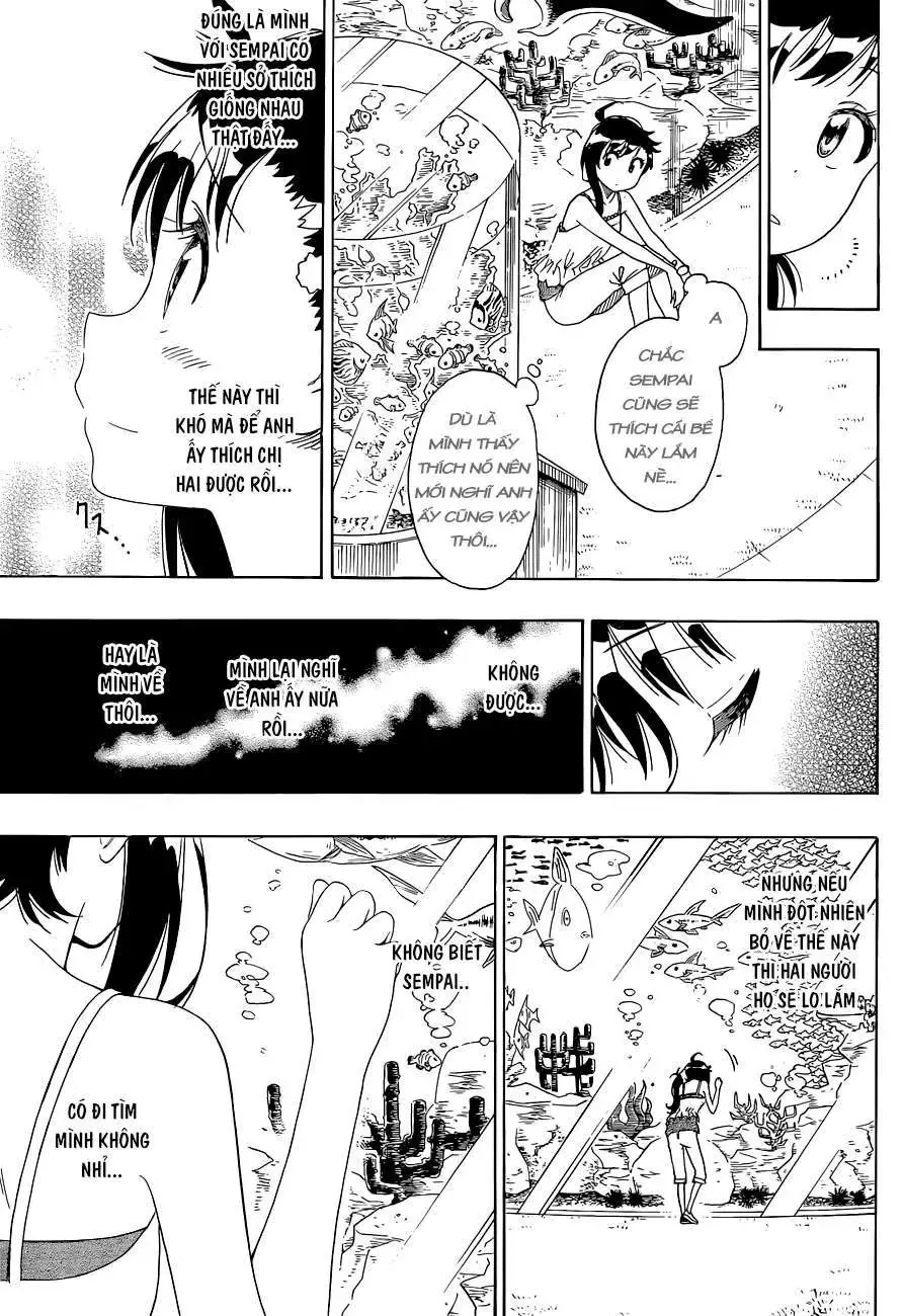 Nisekoi Chapter 110 - Trang 17