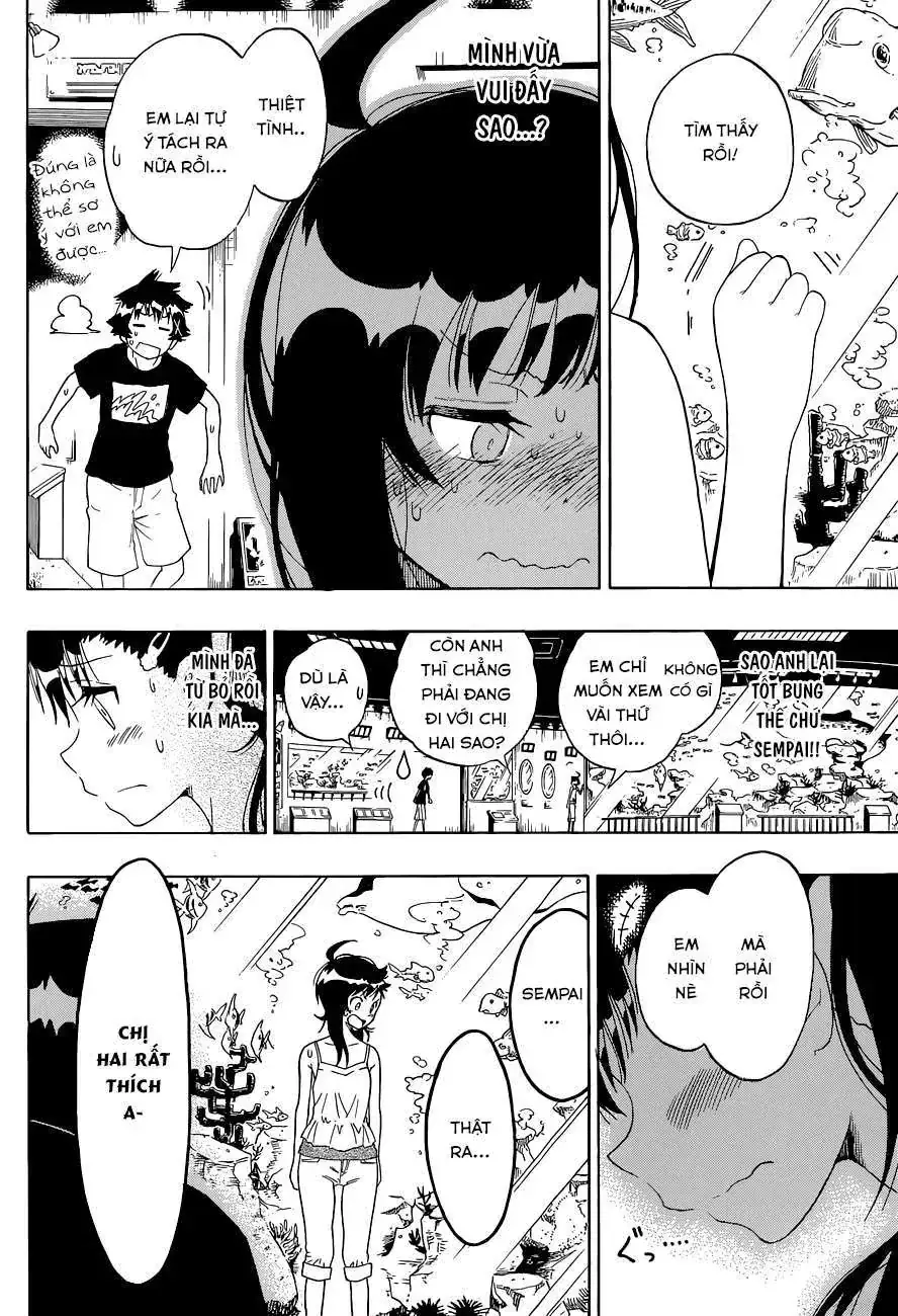 Nisekoi Chapter 110 - Trang 18