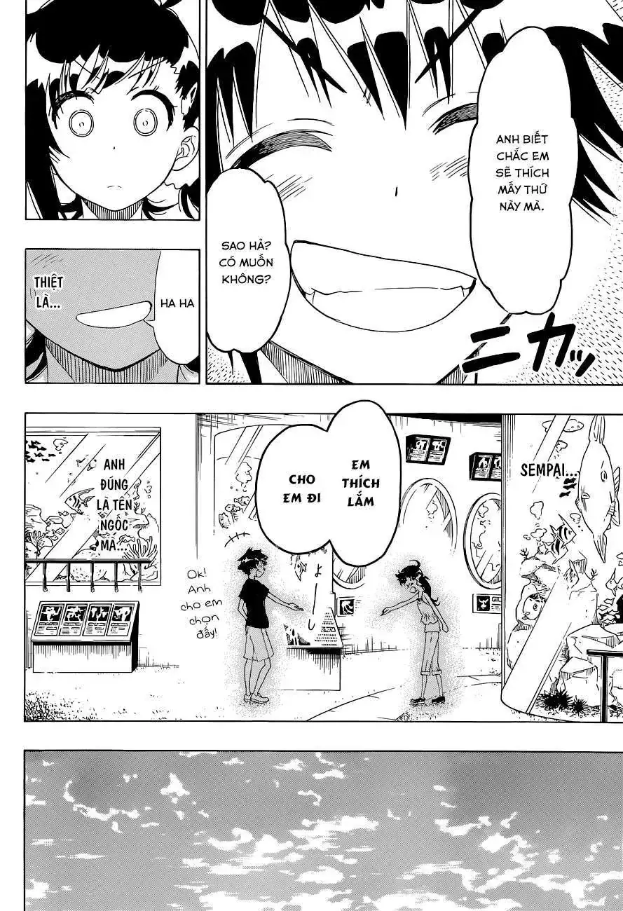 Nisekoi Chapter 110 - Trang 20