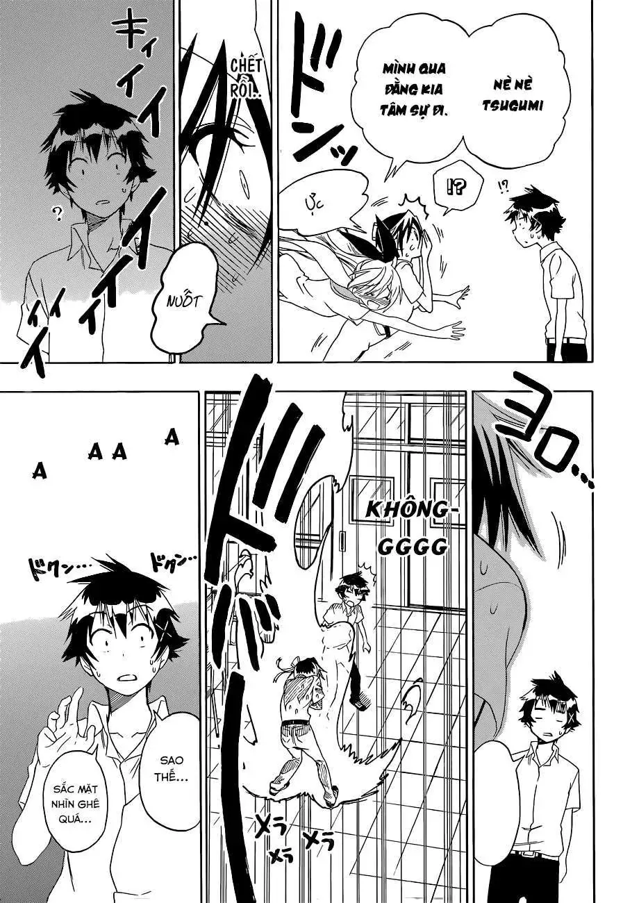 Nisekoi Chapter 111 - Trang 15