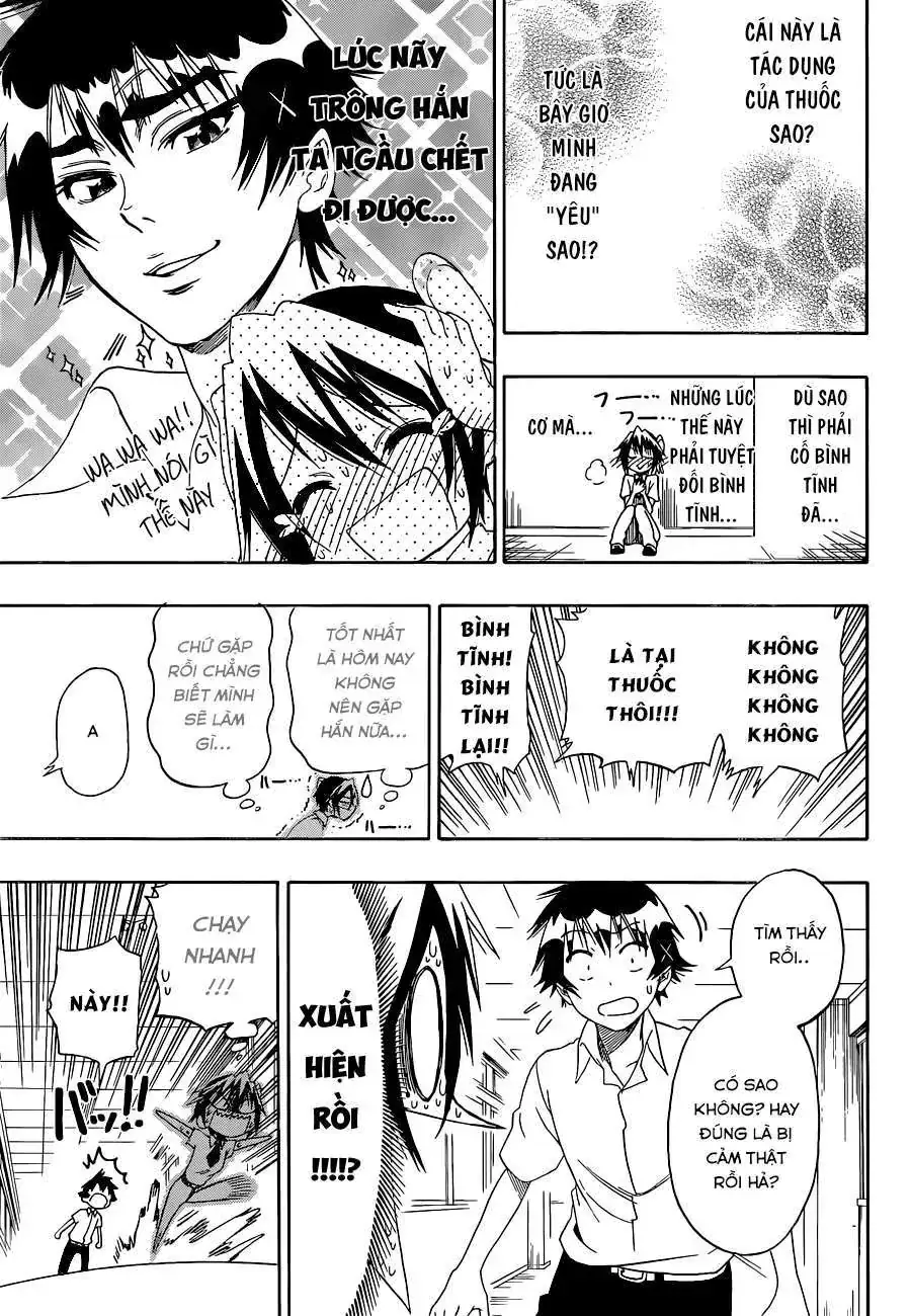 Nisekoi Chapter 111 - Trang 17
