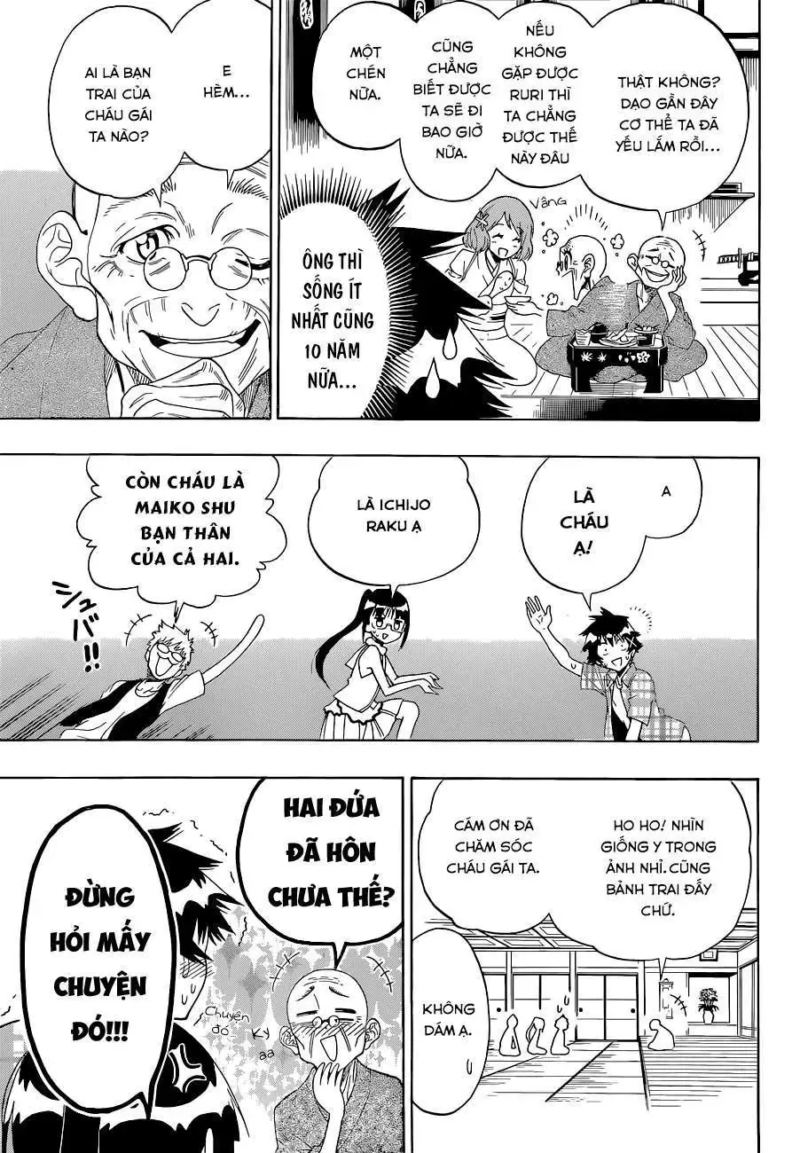 Nisekoi Chapter 113 - Trang 13