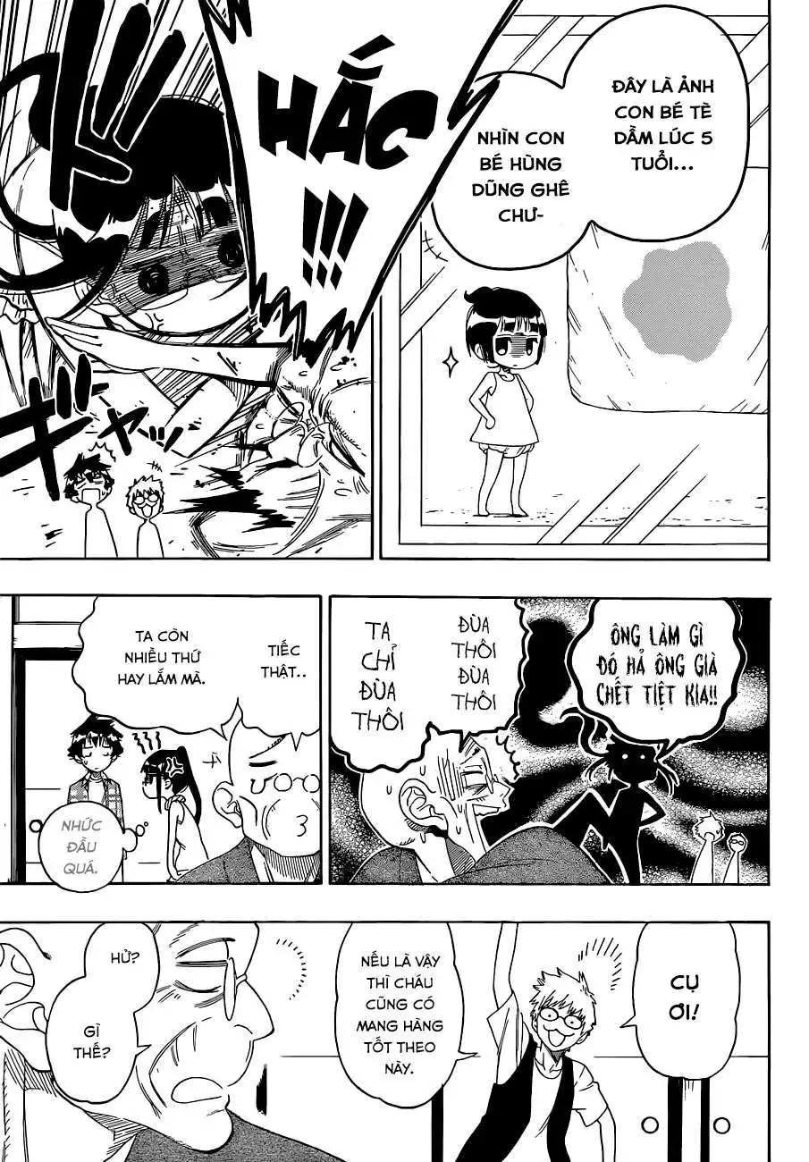 Nisekoi Chapter 113 - Trang 15